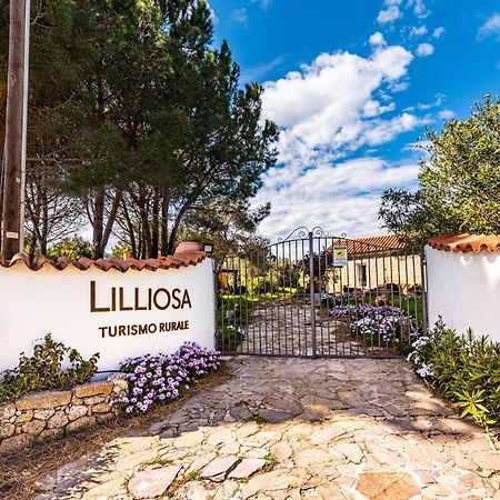 Casa Lilliosa Villa Campavaglio Exterior photo