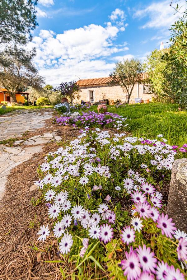Casa Lilliosa Villa Campavaglio Exterior photo